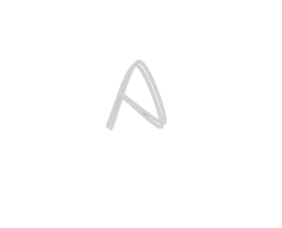 portfolio icon